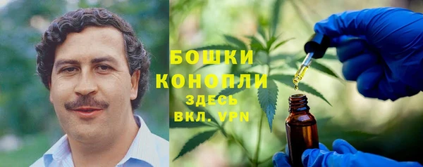 ешки Новозыбков