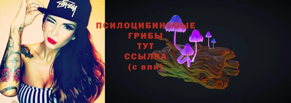 амф Горнозаводск