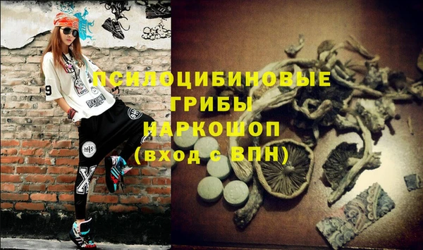 амф Горнозаводск