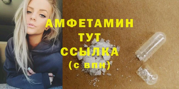 крисы Новодвинск