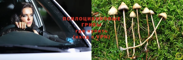 MESCALINE Горняк
