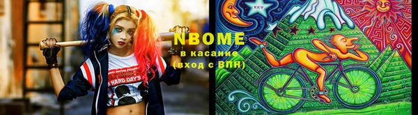 крисы Новодвинск