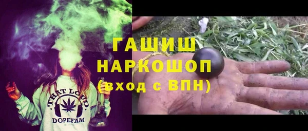 крисы Новодвинск