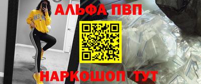 прущие крисы Кингисепп
