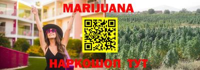прущие крисы Кингисепп