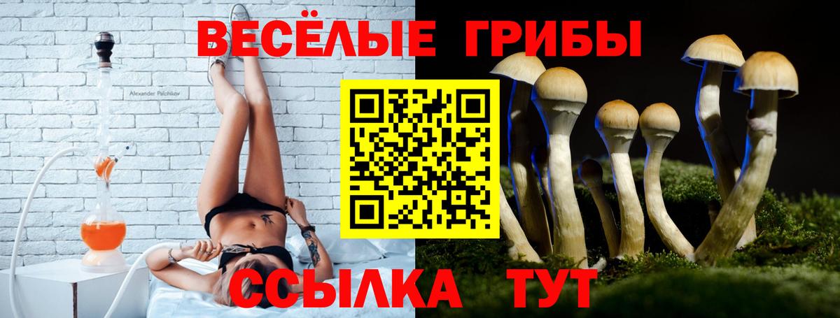 Псилоцибиновые грибы Psilocybe Реж