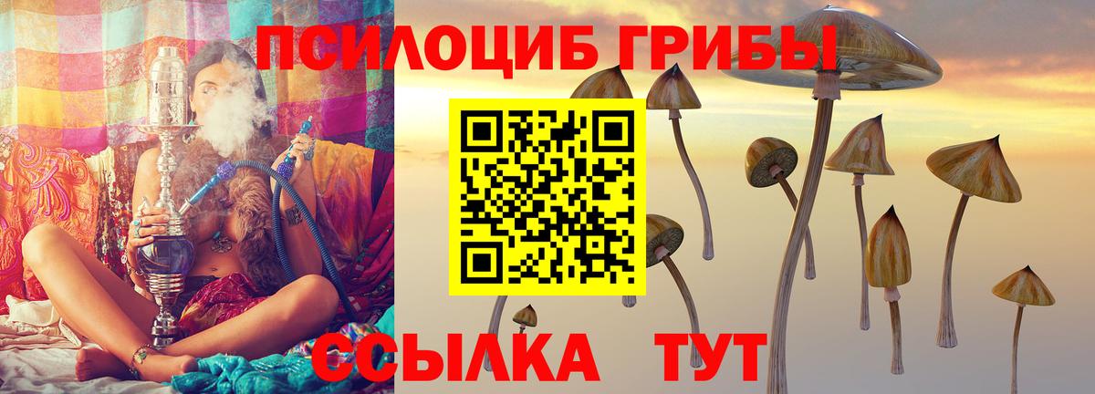 Псилоцибиновые грибы MAGIC MUSHROOMS  Вход с VPN  Реж 